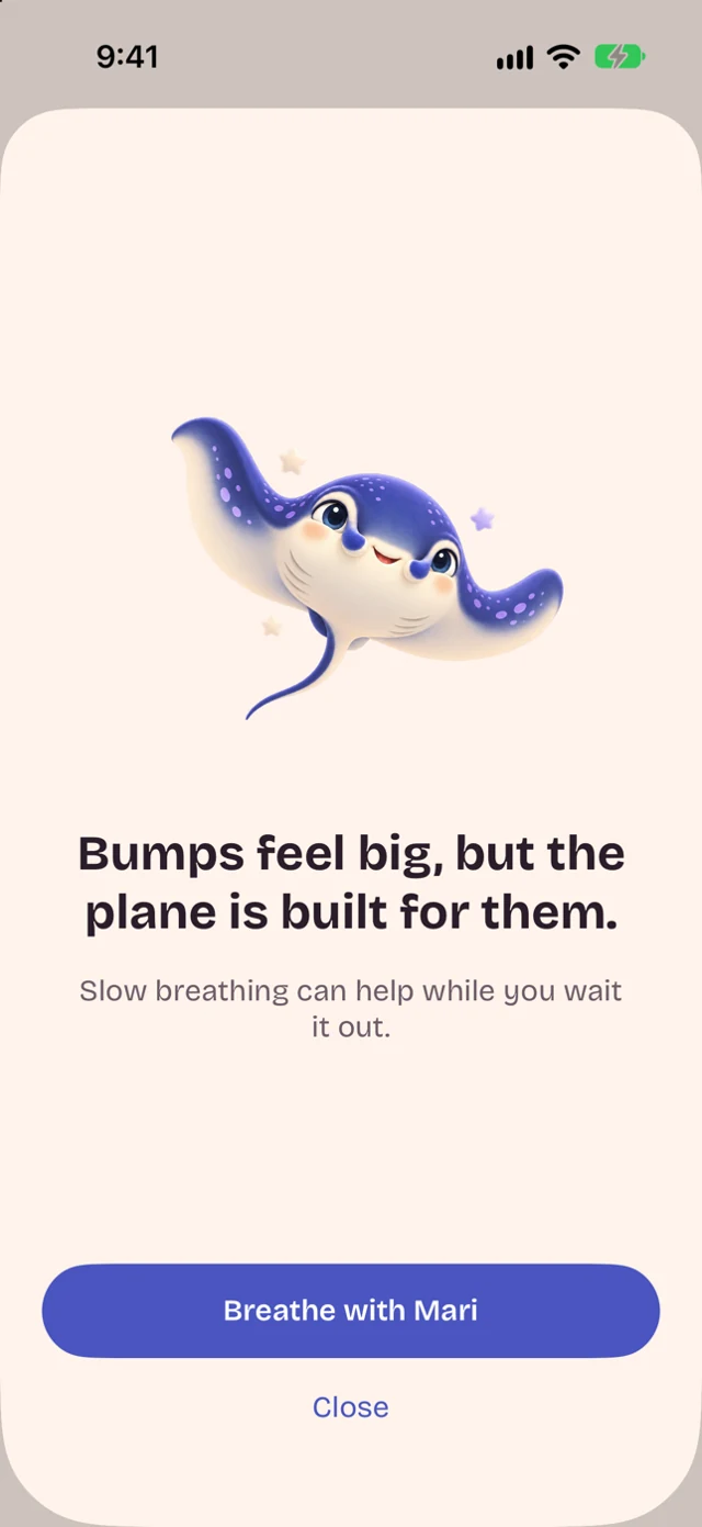 Reassurance card: Bumps feel big, but the plane is built for them
